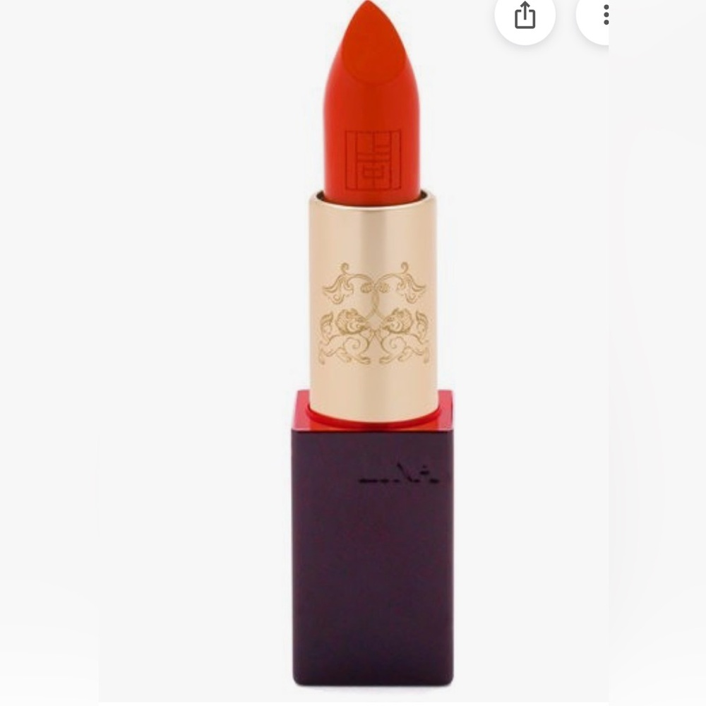 NEW! Luxury Lina Choo Velvet Matte Lipstick & Velvet Pouch in Shade Van Gogh #36
